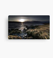 Shorelines IV Canvas Print