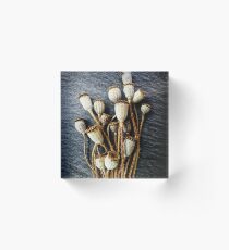 Pods Acrylblock