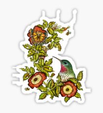 Resting Hummingbird Sticker