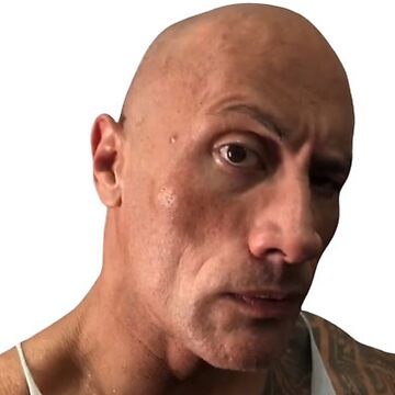 Dwayne the Rock's eyebrow meme.