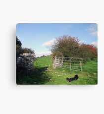 Irish farm scene Canvas Print