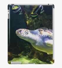 Turtle iPad Case/Skin