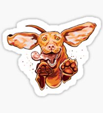 Happy and excited jumping Vizsla dog running and playing Sticker
