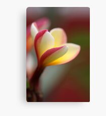 embracing the day Canvas Print
