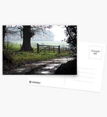 Icy Bridleway Postcards