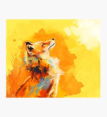 Blissful Light - Fox illustration, animal portrait, inspirational Photographic Print