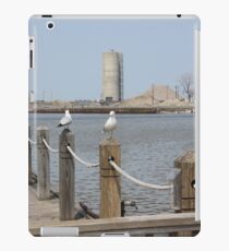 River Seagulls iPad Case/Skin