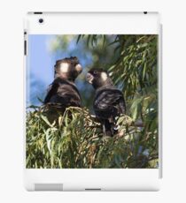 He and She Carnaby's Cockatoos iPad Case/Skin