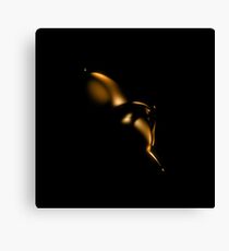 Capsule Canvas Print