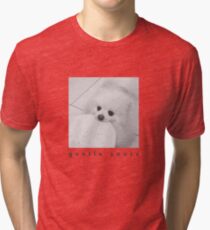 Gentle Snacc Tortilla Dog - black text Tri-blend T-Shirt