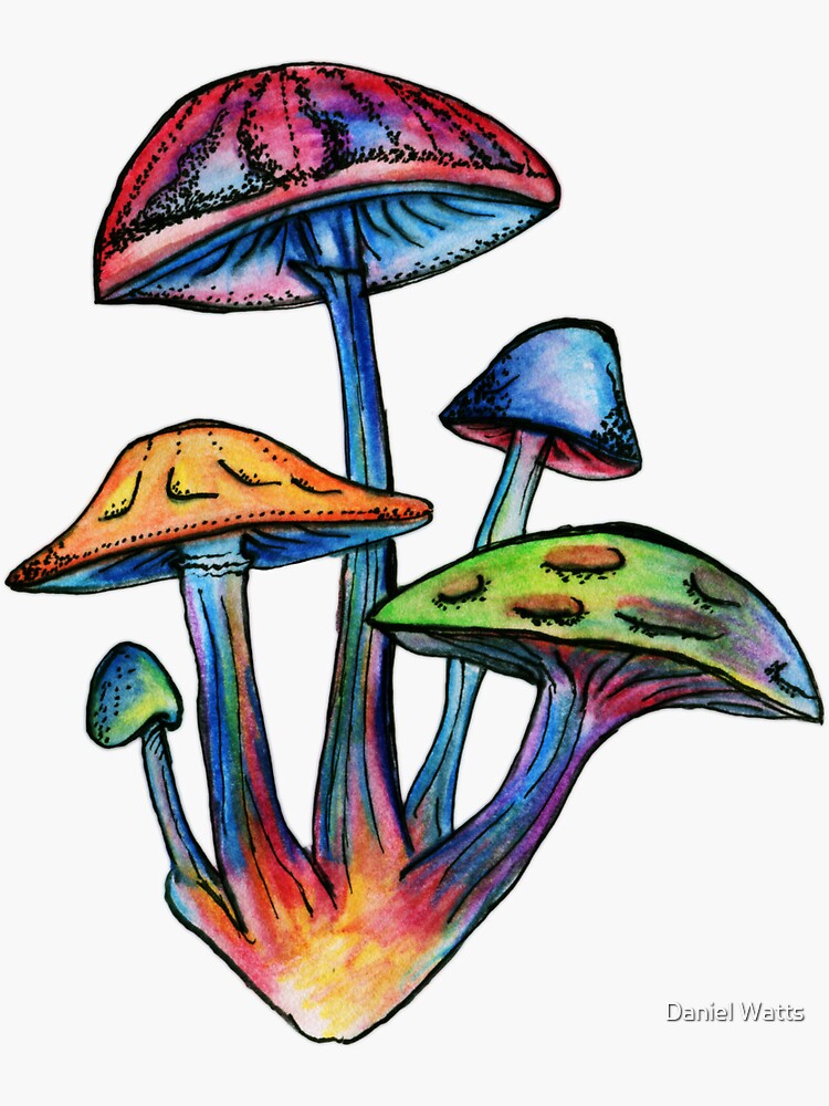 Racimo de Shrooms coloreados de DanJohnDesign