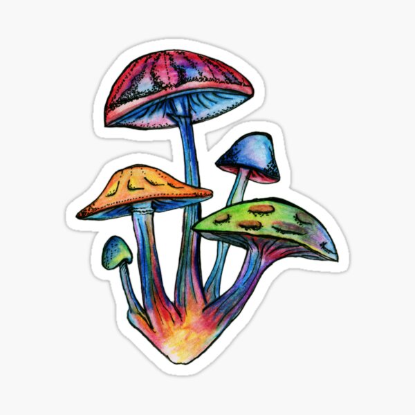 Cluster of Colored Shrooms Sticker