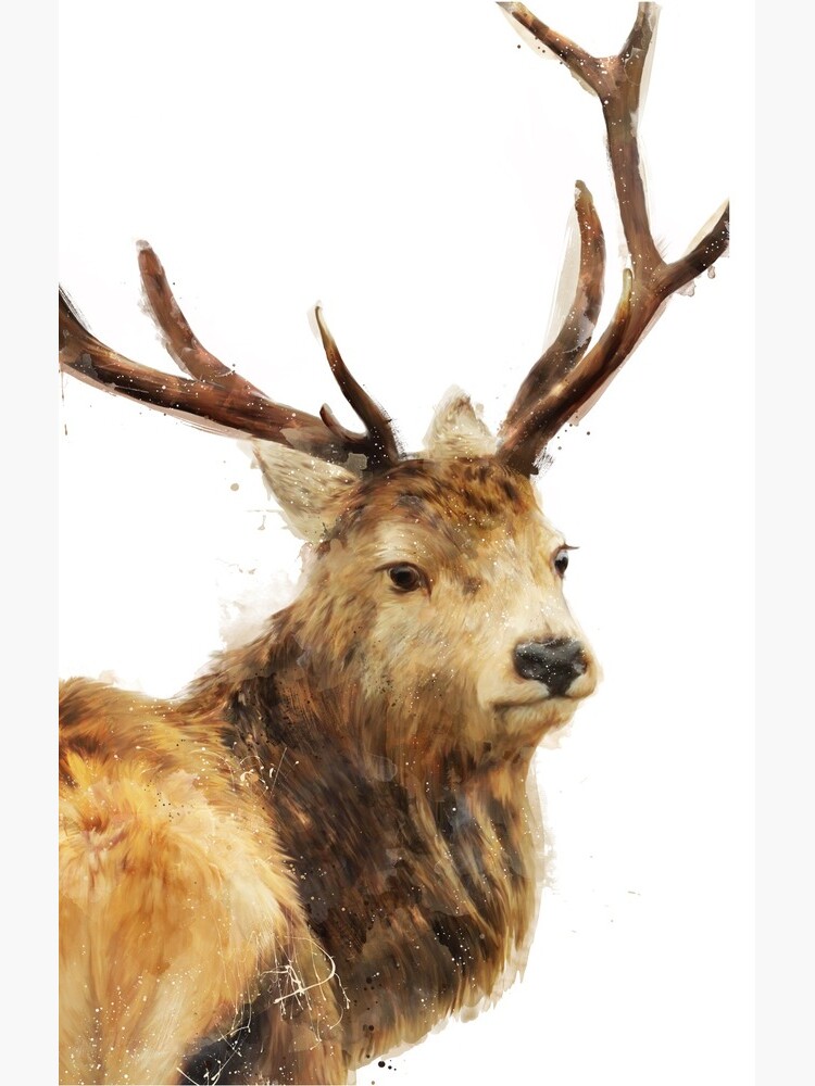Winter Red Deer by AmyHamilton