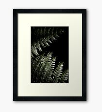 Grow In Darkness Framed Print