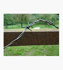 barbed wire on gate Photographic Print