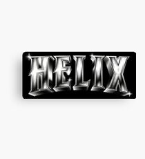 Helix Canvas Print