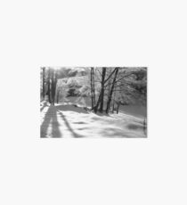 Ice Storm Art Board