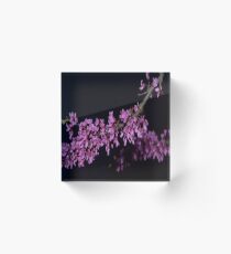 Tree with Flower Blossoms Acrylic Block