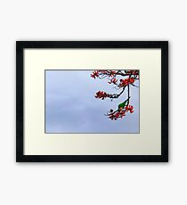 Parakeet's Paradise Framed Print