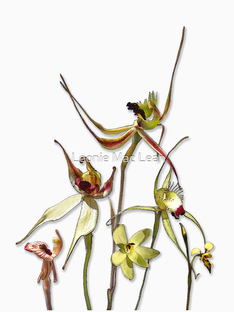 Orchids of Australia 4 by yallmia
