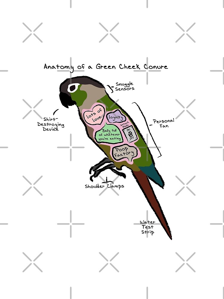 "Anatomy of a Green Cheek Conure" Graphic T-Shirt by MommySketchpad