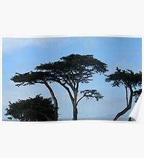 Trees Poster