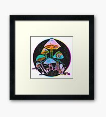 Garden of Shrooms 2020 Framed Print