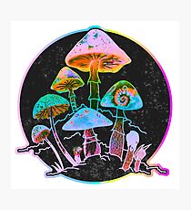 Lámina fotográfica Jardín de Shrooms 2020