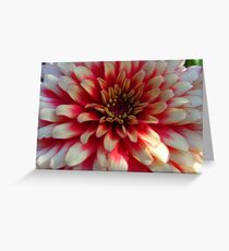 A Pretty Flower Greeting Card