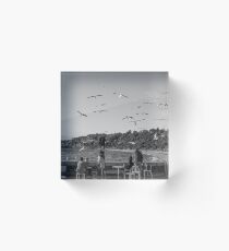 Gulls on half moon bay Acrylic Block