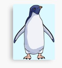 Adélie Penguin Canvas Print