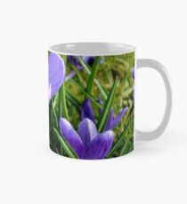 The Crocus Mug