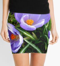 The Crocus Mini Skirt