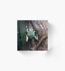 Fun Frog Acrylic Block