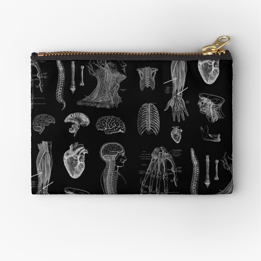 Vintage Anatomy Print Zipper Pouch
