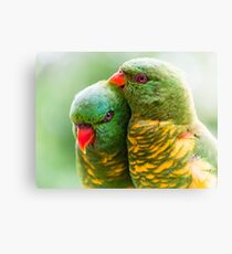 Scaly Affection Canvas Print