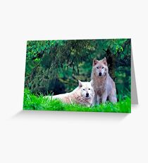 Two Arctic Wolves in the trees Greeting Card