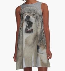 Family Squabble A-Line Dress