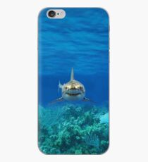 SHARK iPhone Case