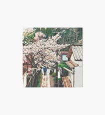 Passing by Cherry Blossoms Art Board