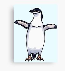 Chinstrap Penguin Canvas Print