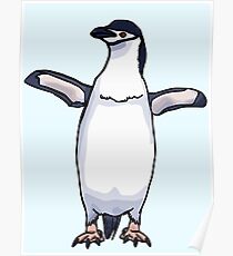 Chinstrap Penguin Poster