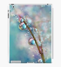 Dew iPad Case/Skin