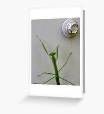 I've Found The Problem, Ma'am... Greeting Card