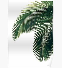 Tropische Palmblätter Poster