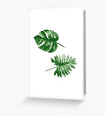 Monstera Greeting Card
