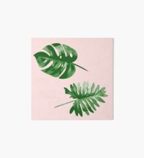Monstera Galeriedruck