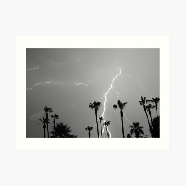 Black and white of a Lightning Storm and Tropical Palm Trees Art Print