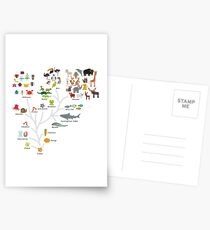 Evolution in biology, scheme evolution of animals isolated on white background. children's education, science. Evolution scale from unicellular organism to mammals. Postcards