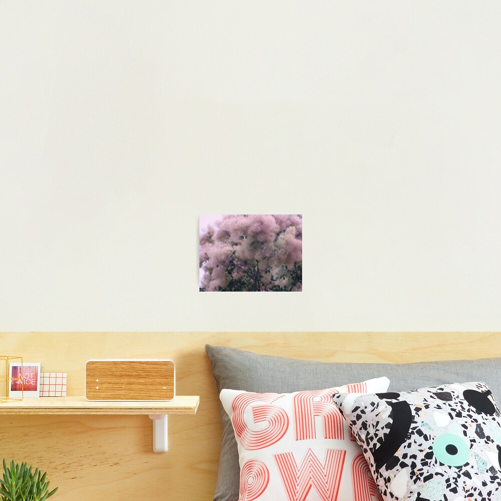 Pink Velvet Photographic Print